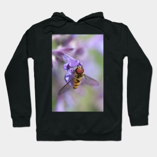 Pollination Hoodie